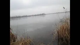 3.02.21. На прогулке. Молюсь и т. д. Слава Богу!