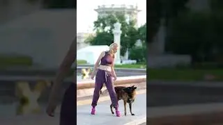 Танцы на ВДНХ. Малинуа Сабур #собака #дрессировка #ilovemydog