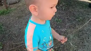 ЖИЗНЬ В ДЕРЕВНЕ БЕЗ МАГАЗИНА! Наше поголовье! Дегустация нашей продукции.