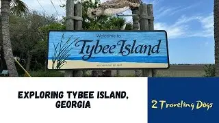 Walking Tour Of Tybee Island, Georgia With 2 Traveling Dogs