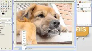 GIMP #5 [ITA] - Regolare lo zoom e spostare la visuale