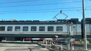 Опять от меня сбежала