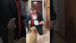 НЮША СЬЕЛА БЕЛКУ 