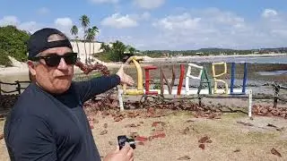 É assim que você registra os seus passeios
