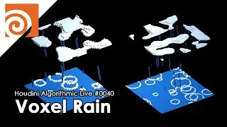 Houdini Algorithmic Live 