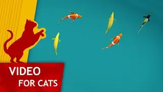 Cat Games - Pond Full of Fish (Cat video for big screens)