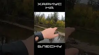 ХАРИУС НА БЛЕСНУ  #рыбалка #спиннинг #хариус #блесна