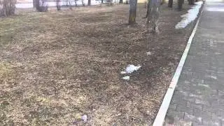Как глубоко во мне любовь спала...