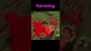 The SECRET FEATURE of Witches..? 