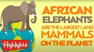 Zoo Animals 04 | Learning for Kids | Highlights Kids