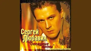 Волчонок