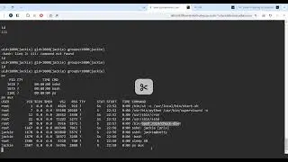 30- Privilege Escalation - Rootkit Scanner