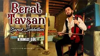 Berat Tavşan -  Kırmızı Gül   ( Barak )