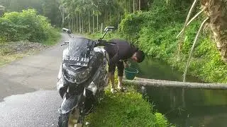 Panen daun pakis dan cuci motor di pegunungan
