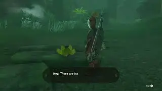 Get your own bananas!