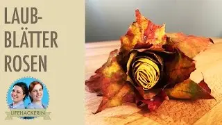 Rosen aus Laub basteln I Blätter-Rosen selbstgemacht I Herbst-Deko