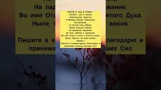 Благополучие в семье☀️ #магия #эзотерика #магическаяпомощь #шепоток #заговор #заговоры #энергии