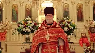 Orthodox Sermon - Be strong in the Lord