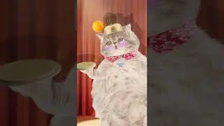 I did it!! 2 / ping pong ball song/ funny pets /funny cat animation / healing / 재미있는 고양이 애니메이션/ 힐링샵