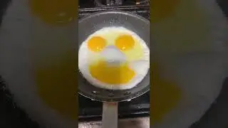 The talking fried egg | 