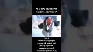 10 сентября 2023 г.