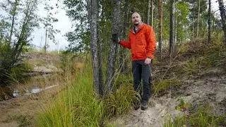 Стащили ФОТОЛОВУШКУ. ЛОСИ, ПТИЦЫ и ЗАЯЦ в КАДРЕ. ДИКИЕ МЕСТА. Начало снежного года. Завершаю сезон.