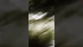 VANCOUVER CREEPER BIGFOOT VIDEO