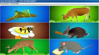 15. Our Environment | CLASS 10 | PHYSICS | NCERT | THEORY [VISUAL]