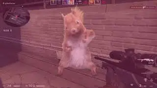 ZEUS + NOSCOPE CLIP (SQUIRREL MEME CSGO CLIP)