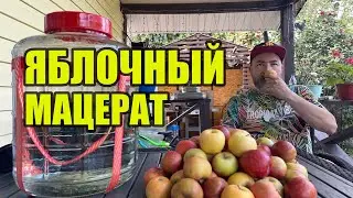 Яблочный мацерат. Стоит ли этим заниматься и кому может понравиться?