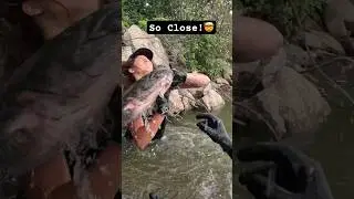 Huge Catfish Found Hiding in the Cold Wisconsin Waters! They are Getting Bigger!