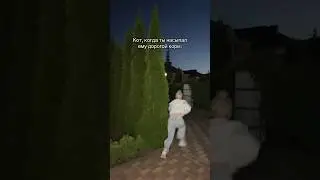 трек: БАЗА-МОСКВА тгк: EVEN CUTE