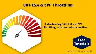 OSPF LSA & SPF Throttling