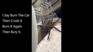 WTF No Way I Say Burn The Car Then Crush It Burn It Again Then Bury It.