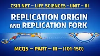 REPLICATION ORIGIN AND REPLICATION FORK