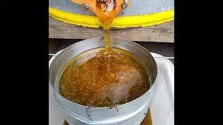 Дело пошло,качаю летний медок 🍯🍯🍯