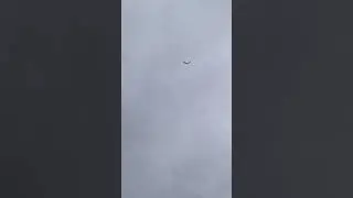 Душанбинская белая