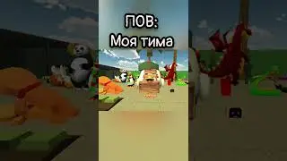 МОЯ ТИМА ИДЕАЛЬНА!