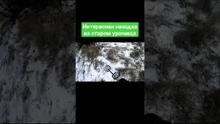 Находка Царских Времён. Поиск с металлоискателем. 