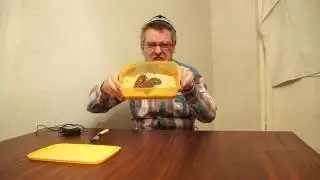 КАК СДЕЛАТЬ ТАК, ЧТОБЫ НЕ ВОРОВАЛИ ЕДУ ИЗ ОФИСА!