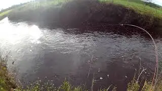 Dollaghan Trout in it's Autumn colours, in the evening sunshine.