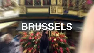 BRUSSELS IN ONE MINUTE