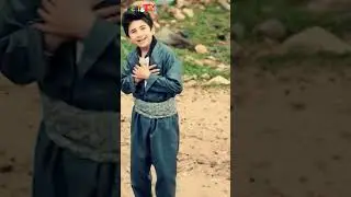 ALİ - Qik Qik