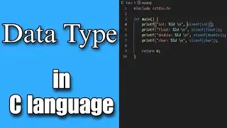 Data Type in C language [Data Type Quick Explanation]