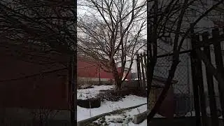 утро 1 января