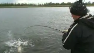 Джеркинг.  Заброс - Поклёвка