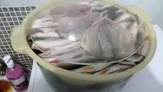 Процесс засолки и сушка рыбы Красноперка - Угай