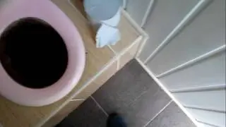 Летняя кухня на даче+ душ с трапом как в квартире. и другие работы