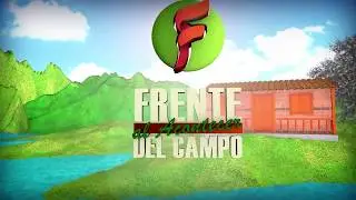 Cultivo de arándanos en Colombia
