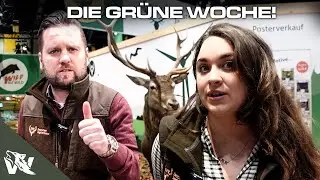 Die Rolle des DEUTSCHEN JAGDVERBANDS! | JAGD